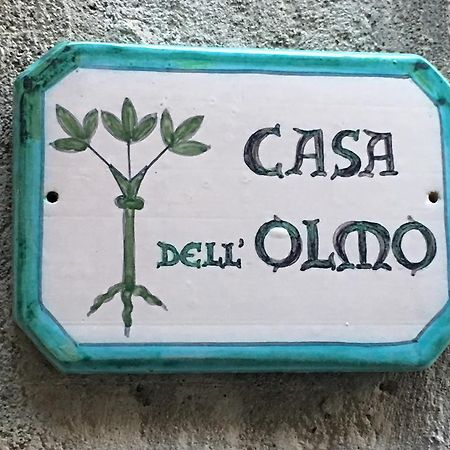 オルヴィエートCasa Dell'Olmoアパートメント エクステリア 写真