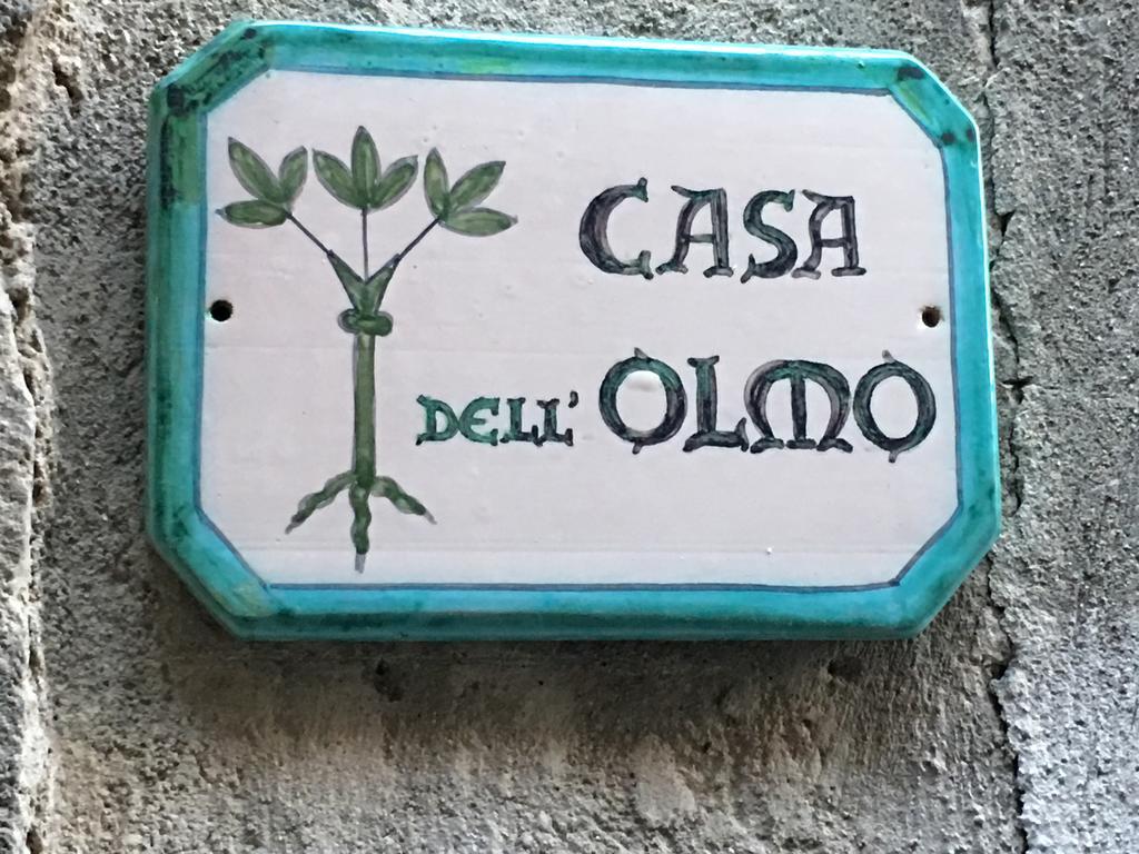オルヴィエートCasa Dell'Olmoアパートメント エクステリア 写真